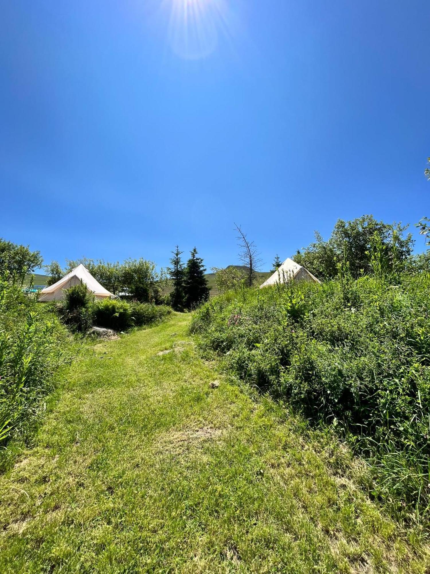 فندق Refuge De La Banne Murat-le-Quaire المظهر الخارجي الصورة
